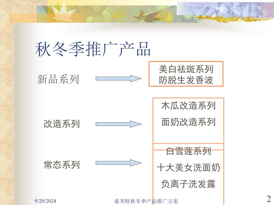 SOFTTO冬季产品推广方案_第2页