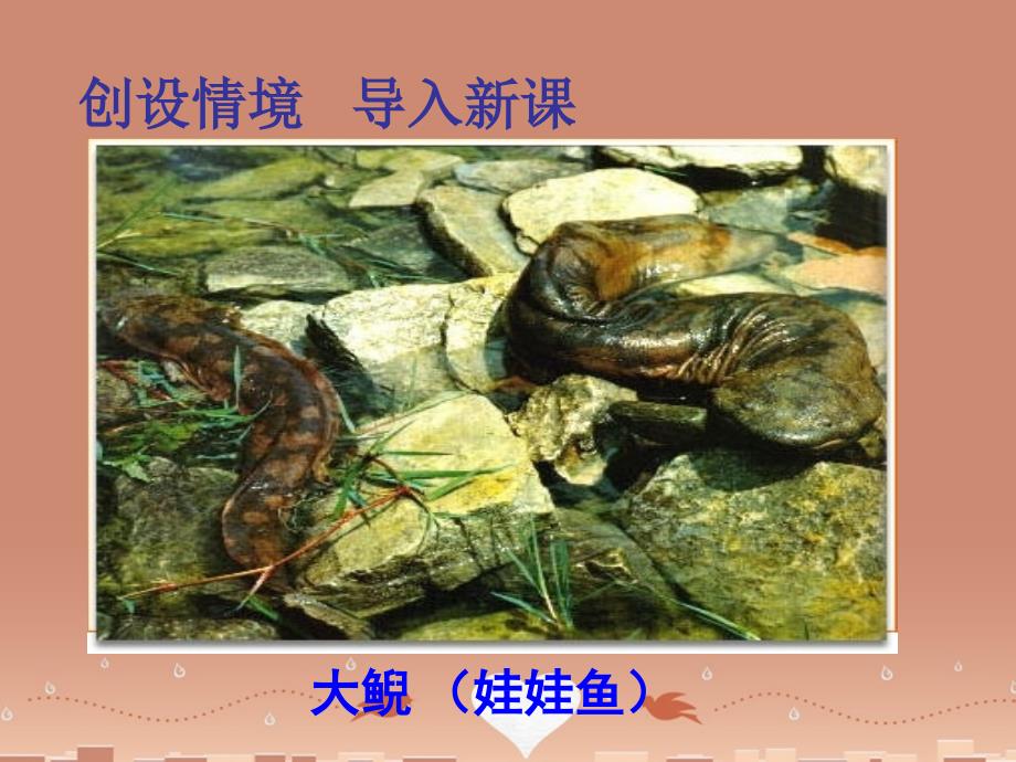 《两栖动物的生殖和发育》课件.ppt_第3页