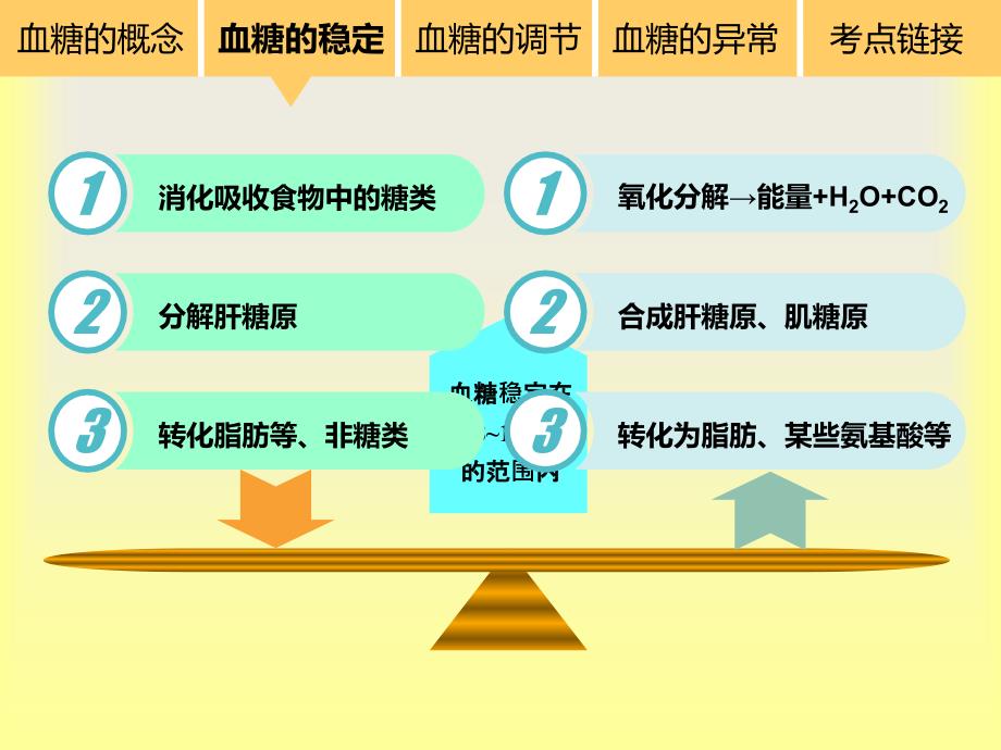 血糖平衡的调节_第3页