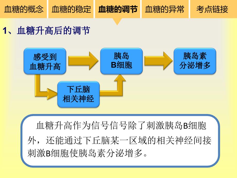 血糖平衡的调节_第4页