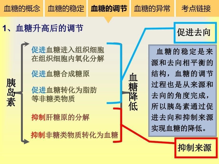 血糖平衡的调节_第5页