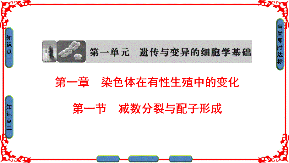 高中生物 第1单元 遗传与变异的细胞学基础 第1章 染色体在有性生殖中的变化 第1节 减数分裂与配子形成课件 中图版必修2_第1页