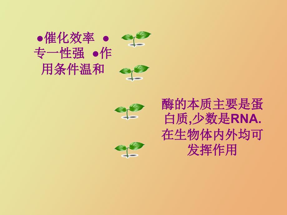 果胶酶的作用_第3页