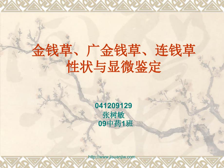 金钱连钱草的鉴定_第1页