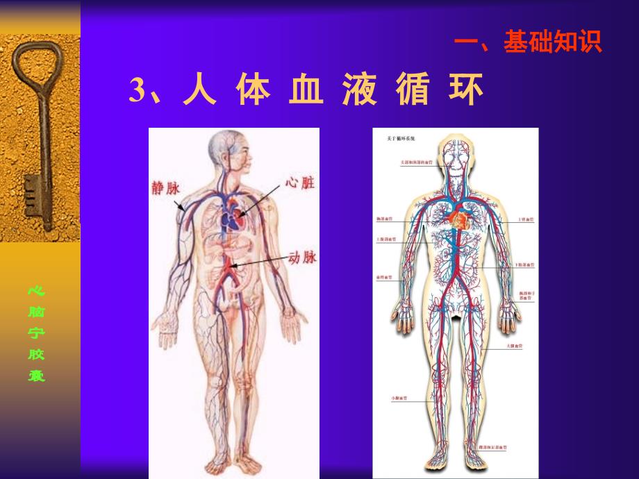 【医学ppt课件】心脑宁胶囊产品手册_第4页