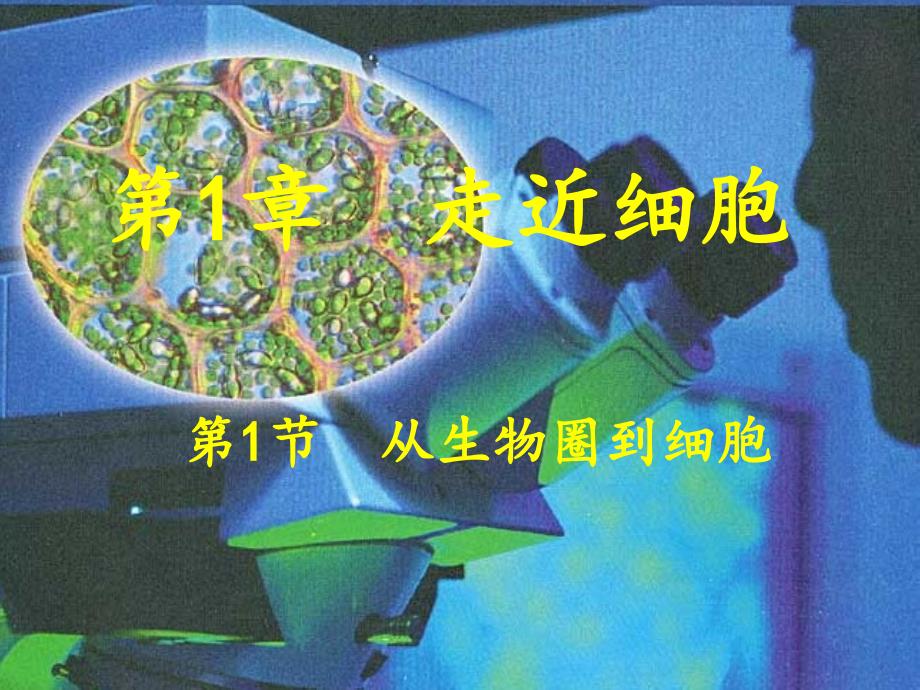 人教版必修一第一章第一节从生物圈到细胞_第3页