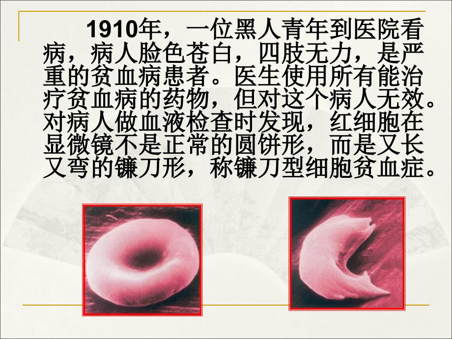 基因突变校内公开课_第2页