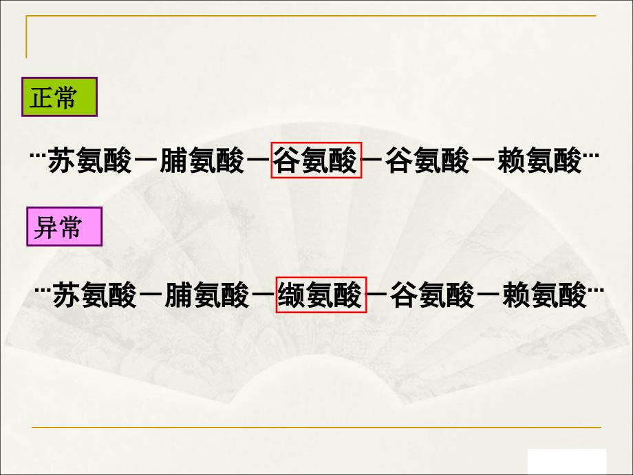 基因突变校内公开课_第4页