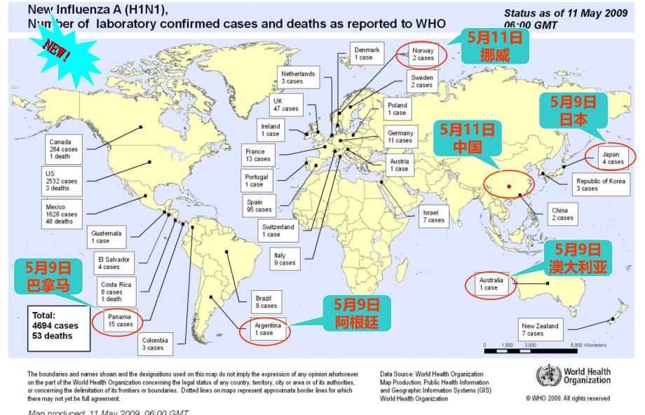 甲型HN世界流行趋势第6期WHO_第3页