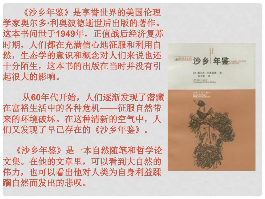 山东省泰安市新城实验中学八年级语文下册 14《大雁归来》课件1 新人教版_第2页