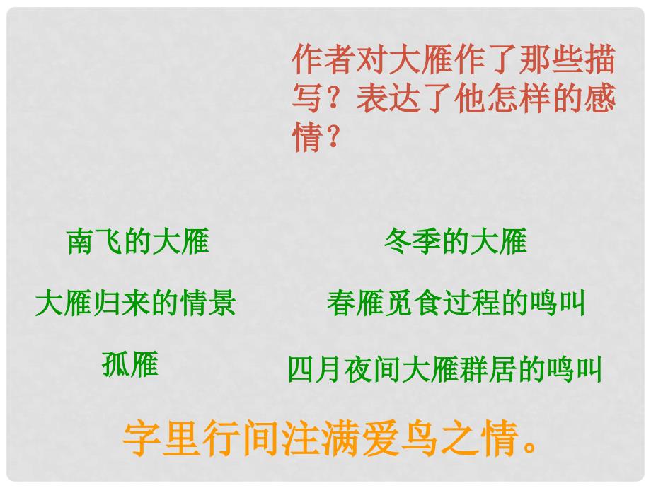 山东省泰安市新城实验中学八年级语文下册 14《大雁归来》课件1 新人教版_第3页