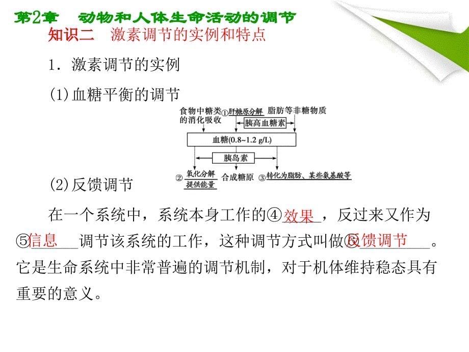 人教版教学课件高考生物总复习课件：22通过激素的调节神经调节与体液调节的关系知识研习_第5页