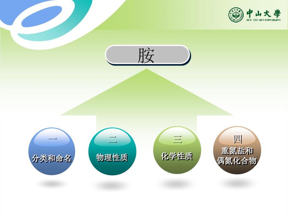 有机化学：第13章胺和生物碱_第2页