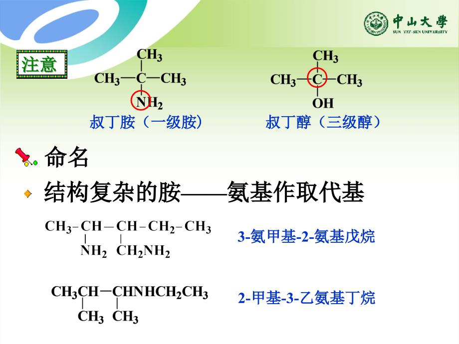 有机化学：第13章胺和生物碱_第4页