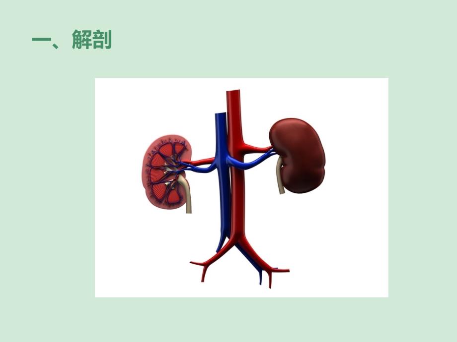 肾结石超声诊断及鉴别_第3页