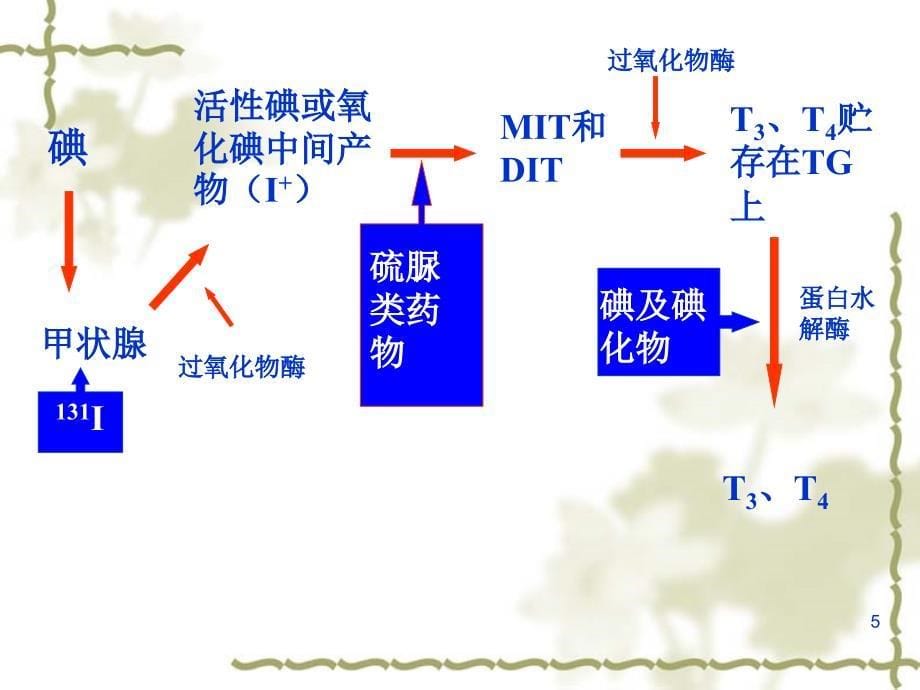 内科学甲亢课件_第5页