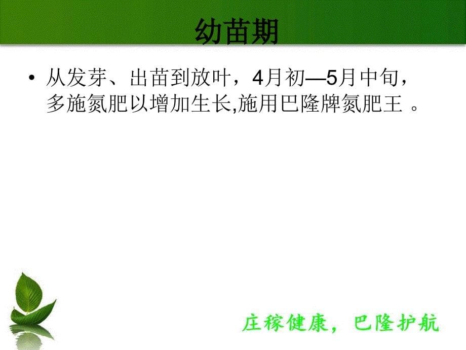 山药种植管理技术.ppt_第5页