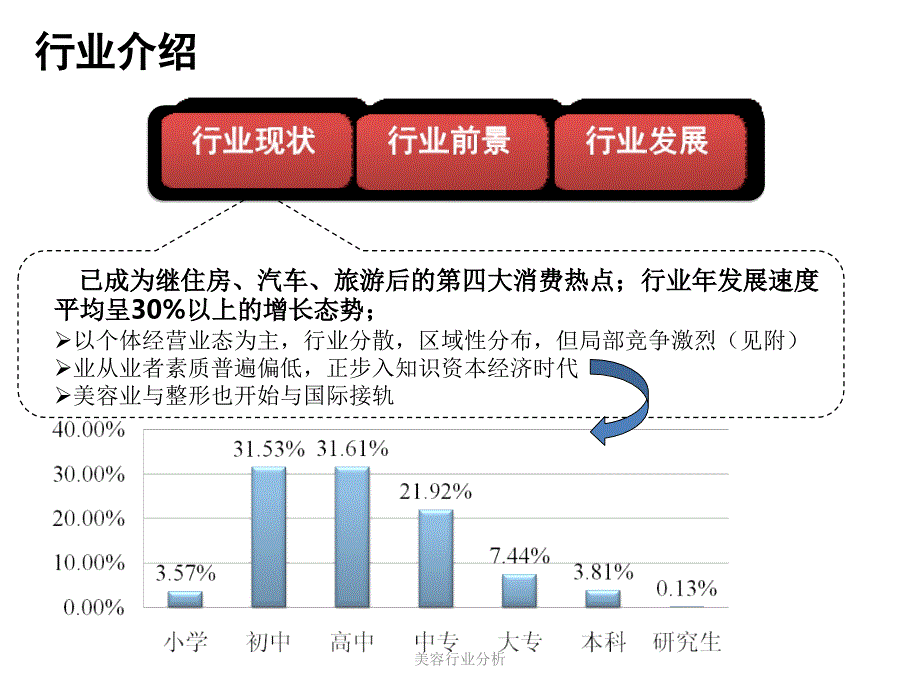 美容行业分析_第2页