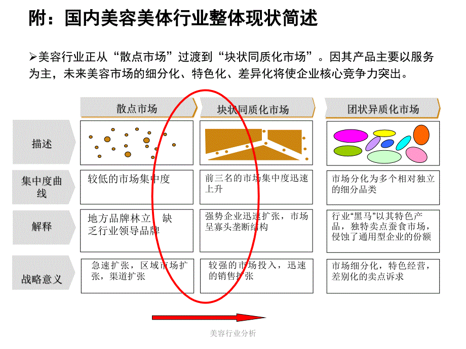 美容行业分析_第3页