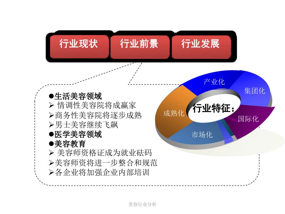 美容行业分析_第4页