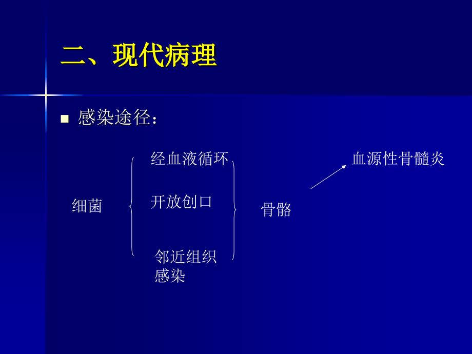 《中医骨伤科学》教学课件：骨病_第4页