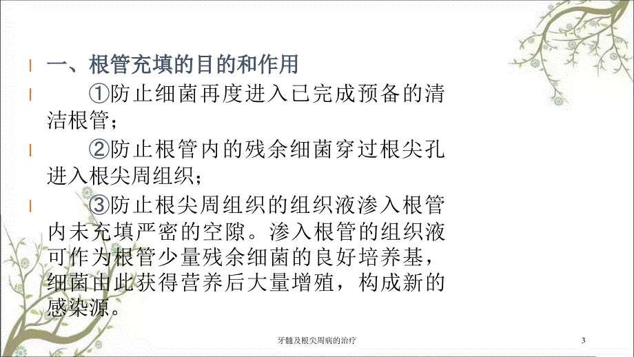 牙髓及根尖周病的治疗_第3页