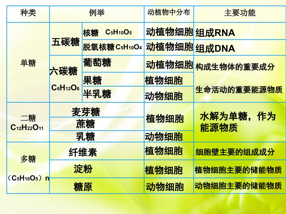 2.4细胞中的糖类和脂质课件谢凤英_第4页