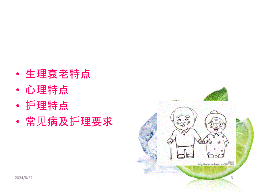 养老护理员培训(老年人护理基础知识-ppt文档资料课件_第3页