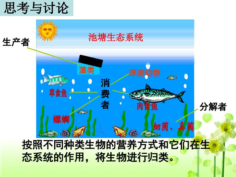 生物必修三第五章第一节生态系统的结构_第4页