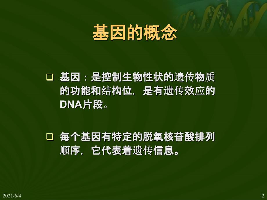 基因指导蛋白质的合成-PPT精选_第2页