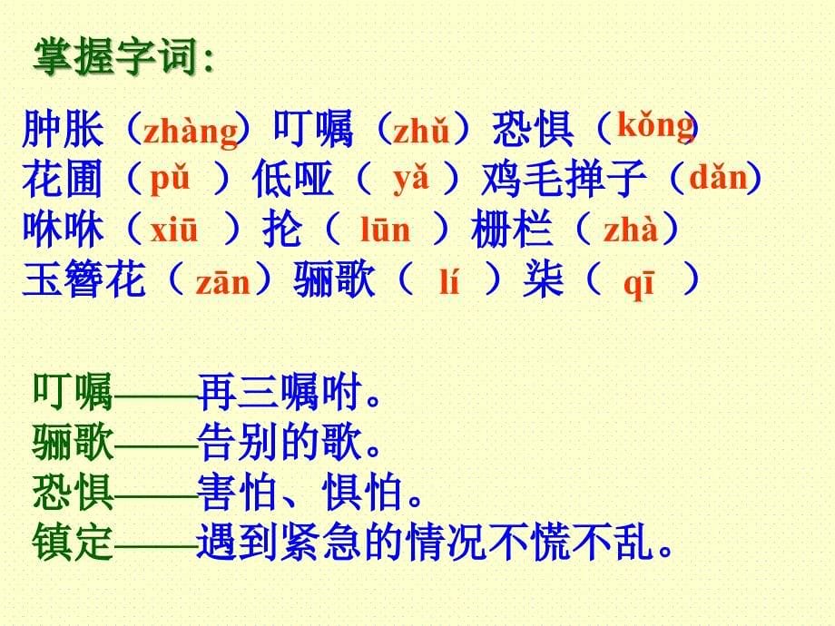 爸爸的花儿落了授课资料余文龙_第5页