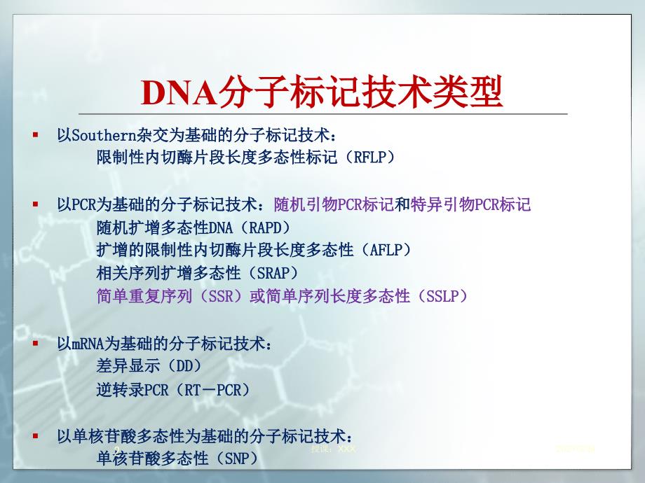 SSR分析的原理及操作技术PPT课件_第2页