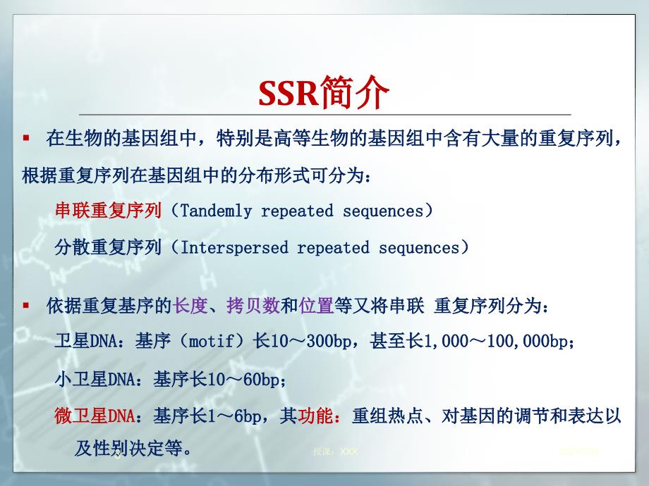 SSR分析的原理及操作技术PPT课件_第3页