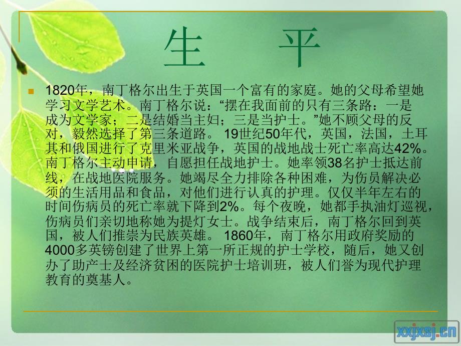 《护理前景展望》ppt课件.ppt_第4页