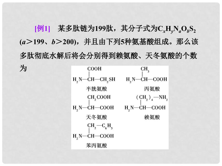 高考生物一轮复习 专题培优课 解答蛋白质计算题的“三把”金钥匙课件 新人教版_第4页