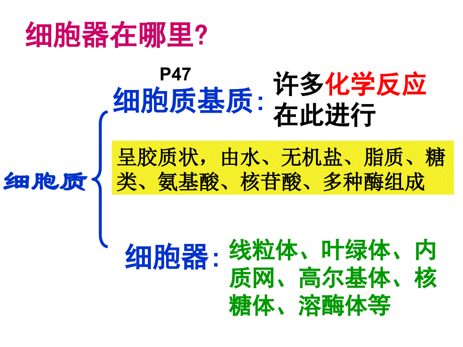 32细胞器──系统内的分工合作(共28张PPT)_第3页