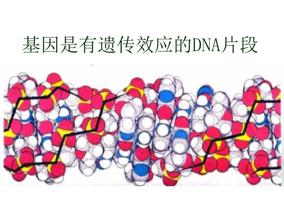 人教版高中生物必修二第三章第四节基因是有遗传效应的DNA片段25张PPT_第1页