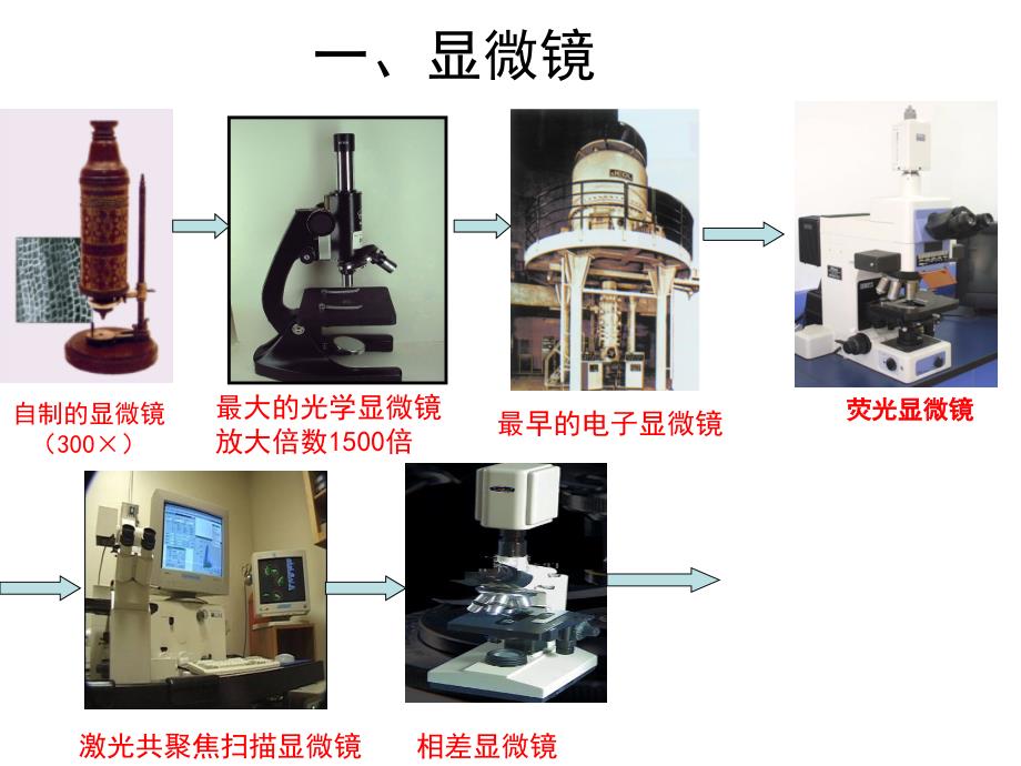 新课标初中生物《显微镜》精品课件_第1页