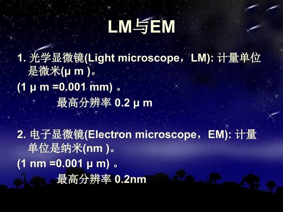 人体组织结构学PPT课件_第5页