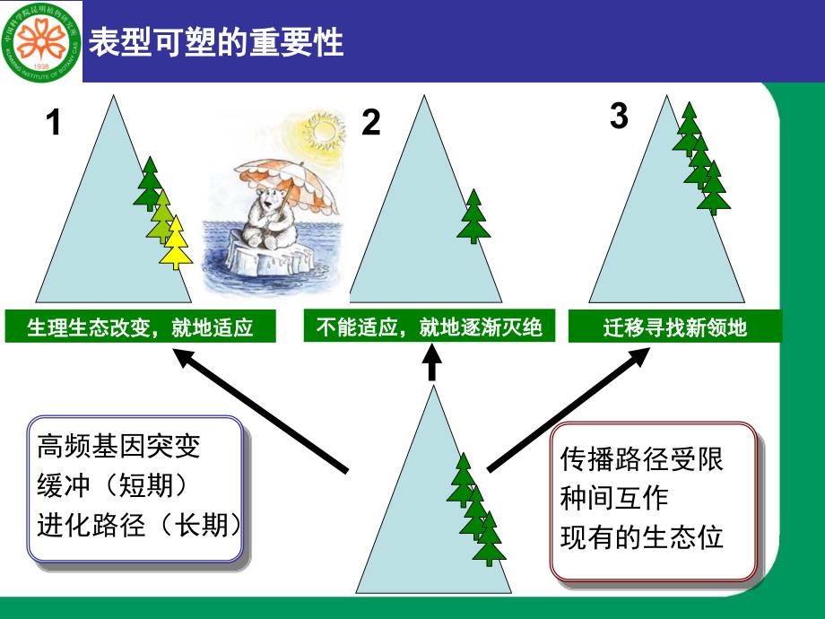 气候变化下的植物表型可塑性.ppt_第4页