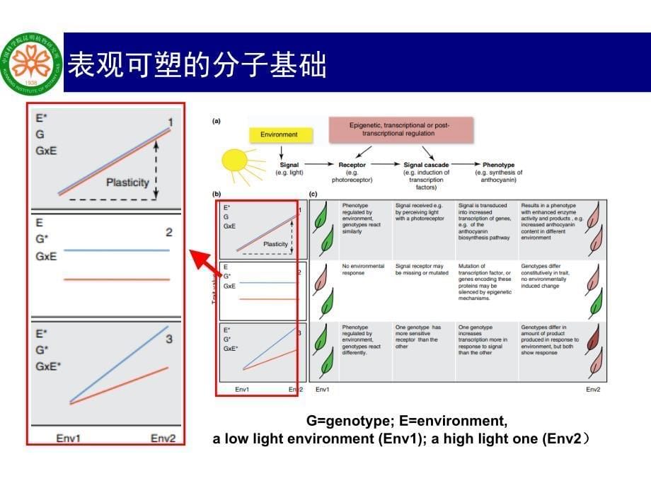 气候变化下的植物表型可塑性.ppt_第5页