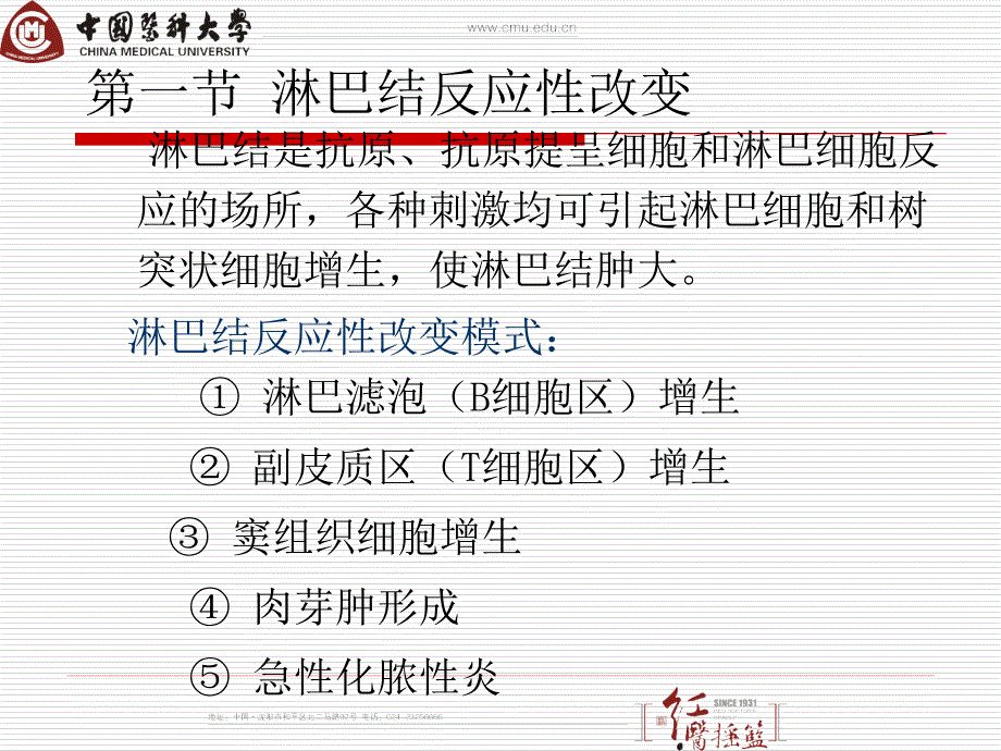 病理学课件：11 淋巴造血系统疾病_第3页