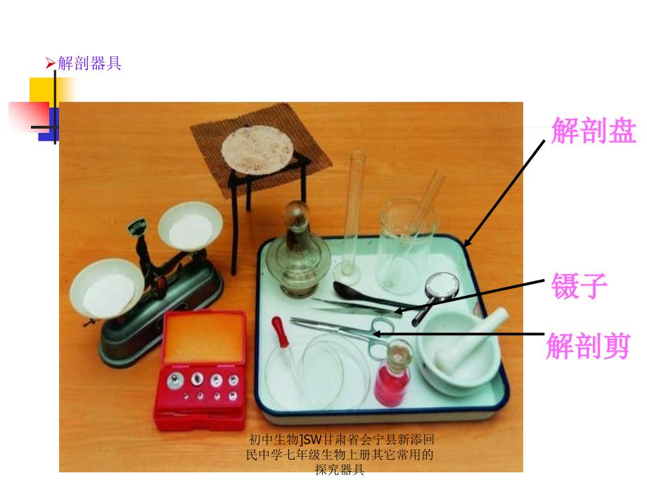 初中生物]SW甘肃省会宁县新添回民中学七年级生物上册其它常用的探究器具课件_第3页