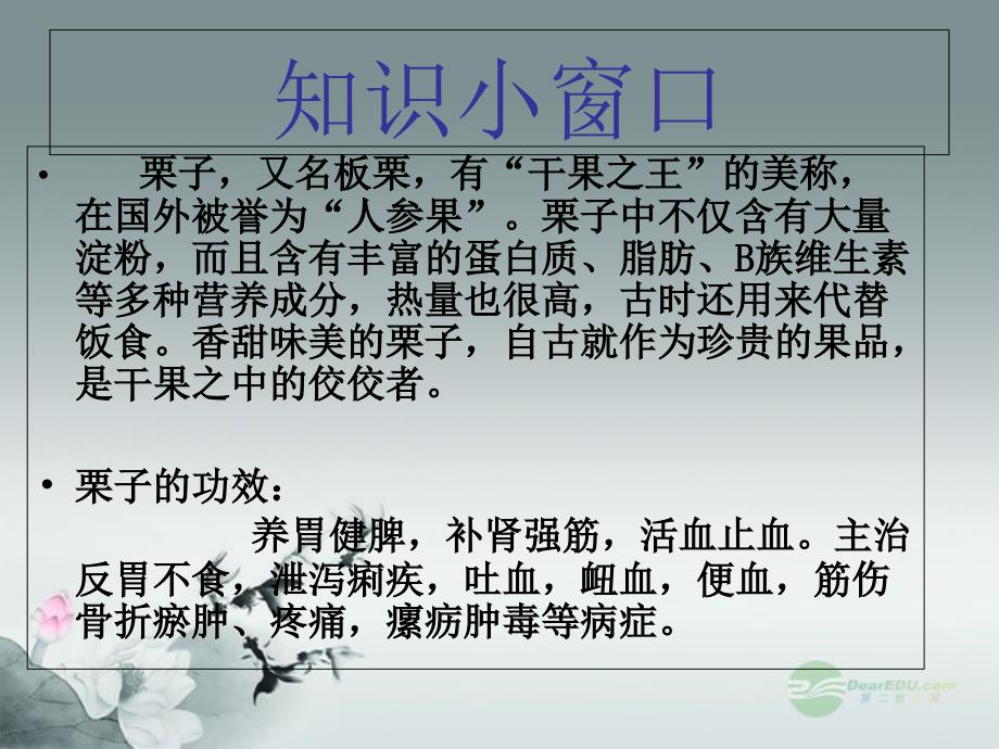 《栗子大丰收》PPT课件_第4页