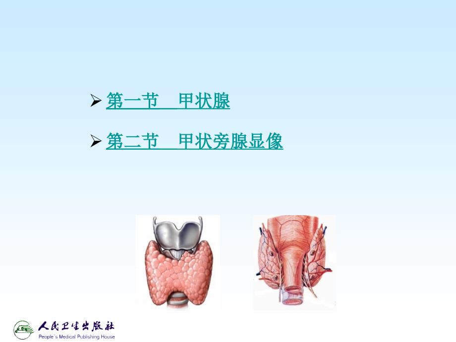 核医学：内分泌系统_第2页