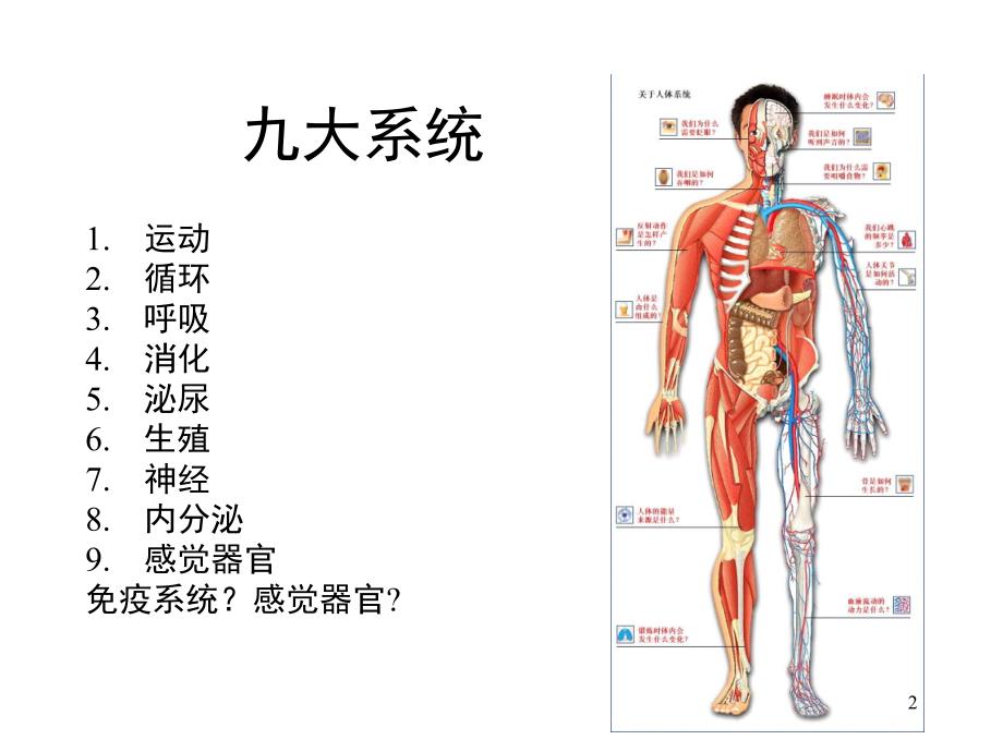 医学基础系统PPT课件_第2页