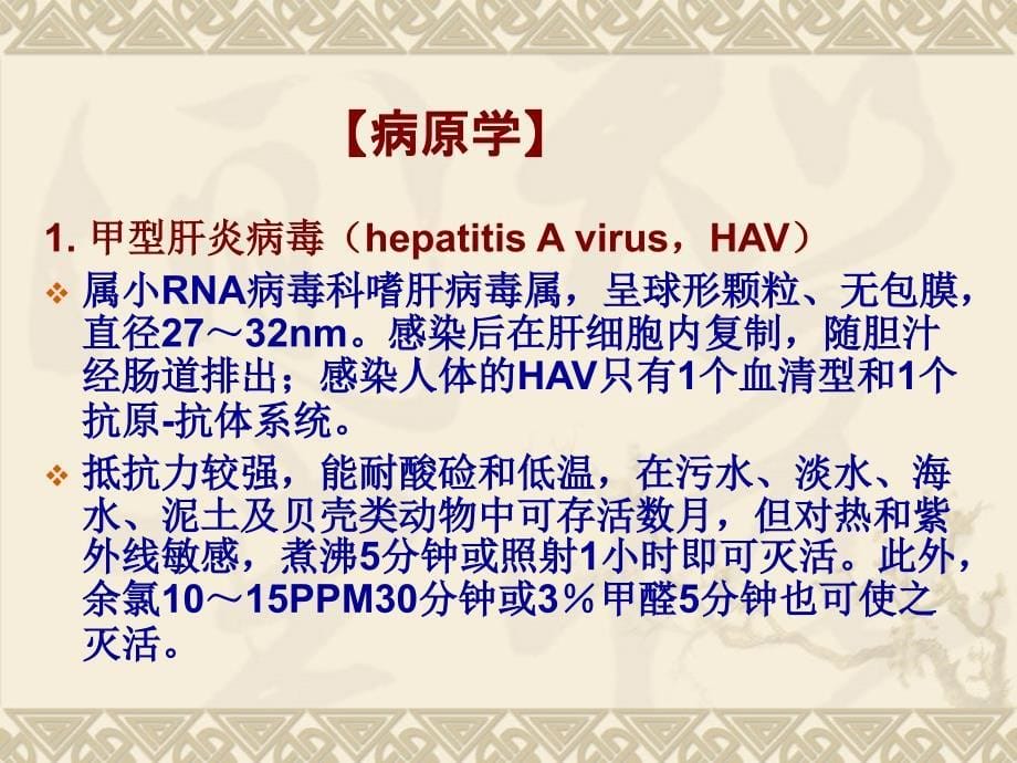 内科护学第十章传染病患者的护理PPT病毒性肝炎_第5页