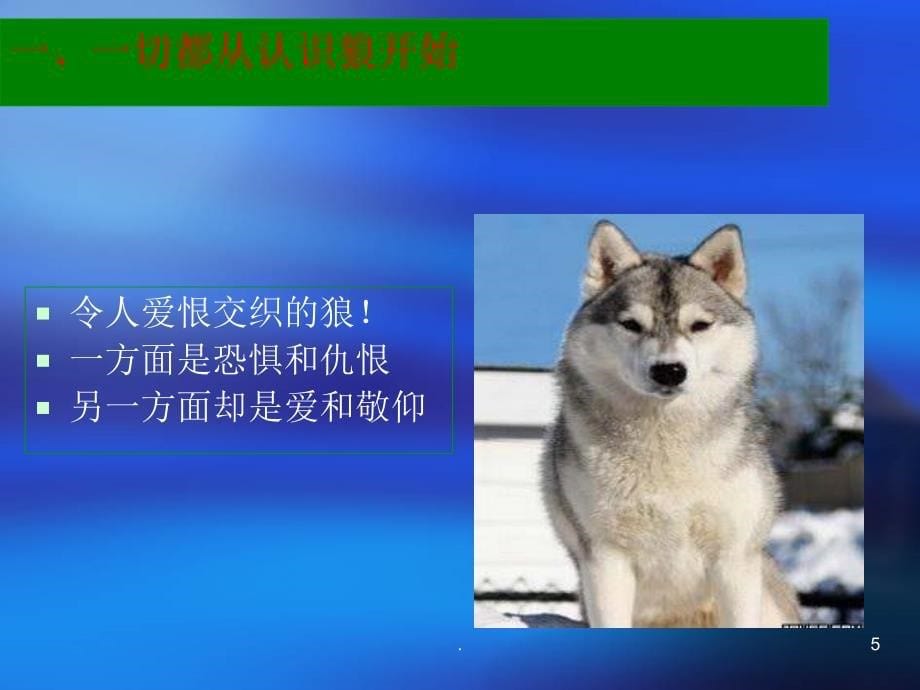 兽药销售实战讲座.PPT_第5页