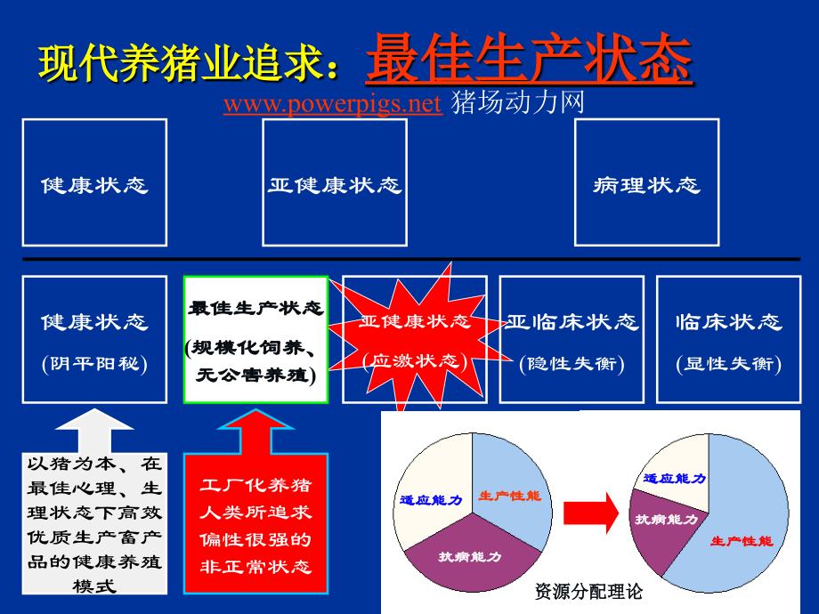 中药猪生产中的应用_第4页