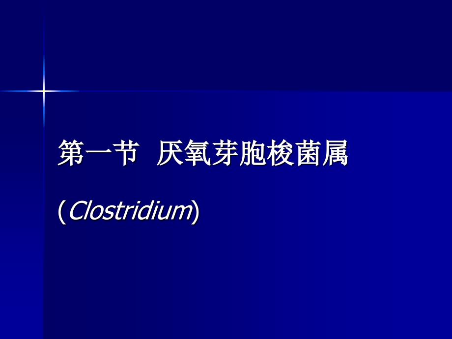 医学微生物学：第11章 厌氧性细菌_第3页